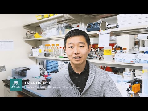 Unlocking New Hope for Duchenne Muscular Dystrophy