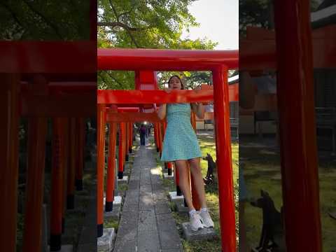 Do NOT be this type of tourist in Japan 😭 #Japan #JapanTravel #tourist